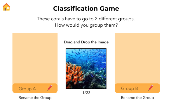 Example coraland classification game